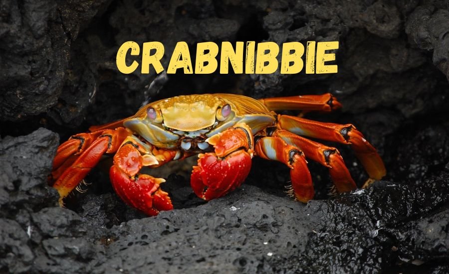 Crabnibbie