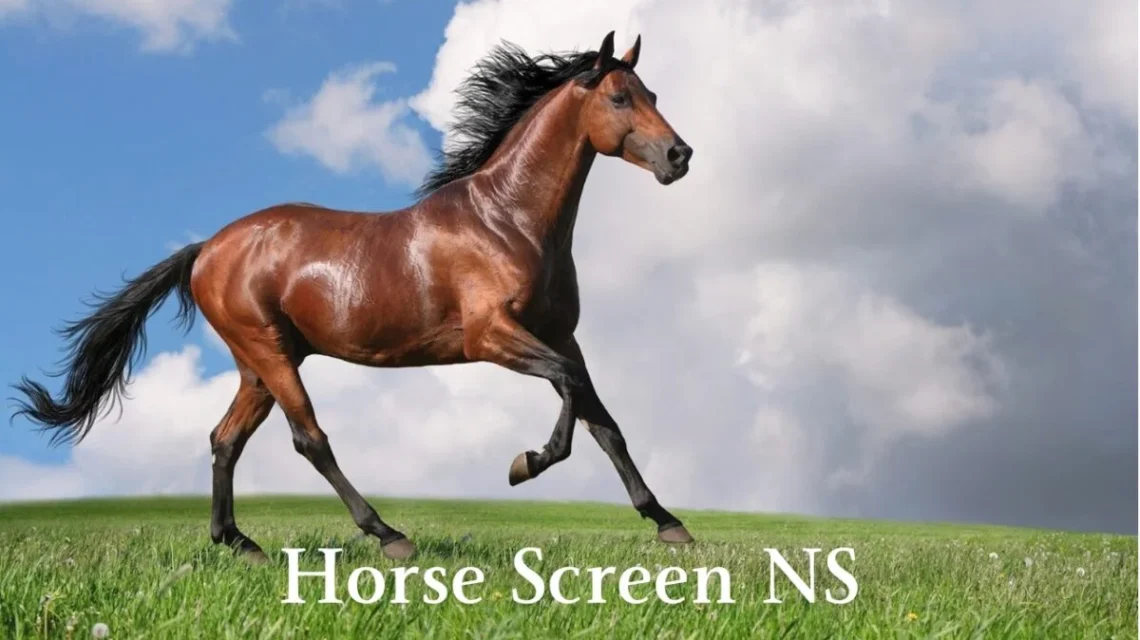 NS Horse Screen